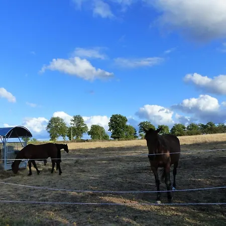 Familial Sur Ferme Equestre Pres De Montlucon - Fr-1-489-431 Gospodarstwo wiejskie