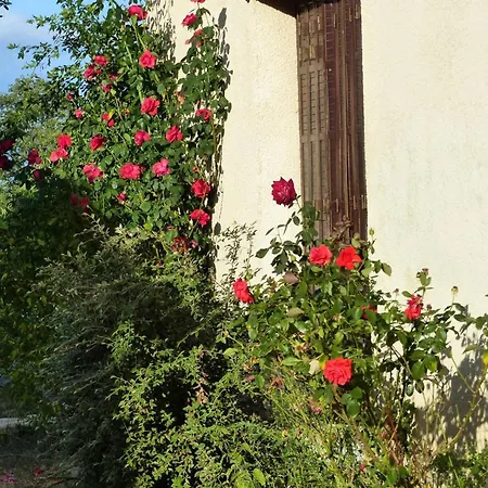 Prázdninový dům Familial Sur Ferme Equestre Pres De Montlucon - Fr-1-489-431 *