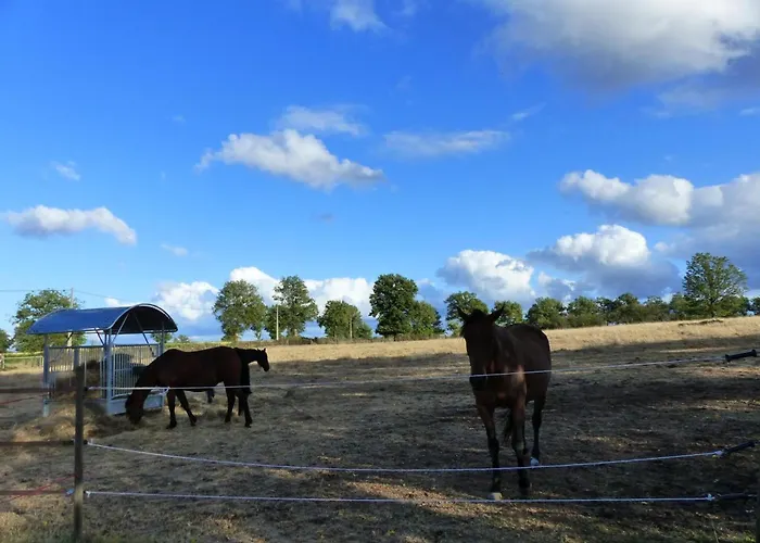 Familial Sur Ferme Equestre Pres De Montlucon - Fr-1-489-431 Prázdninový dům